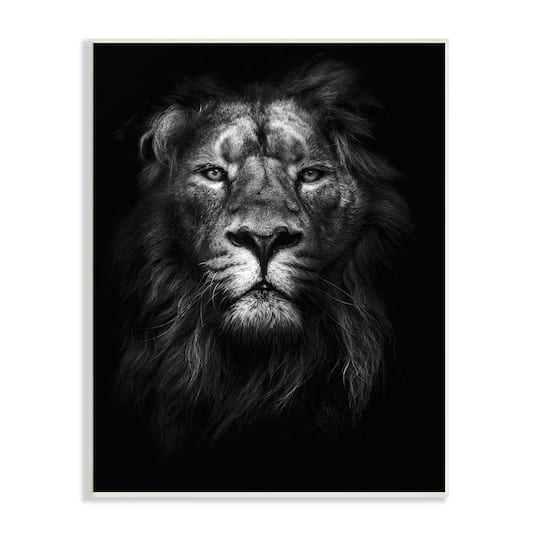 Stupell Industries Lion in Shadows Wall Plaque